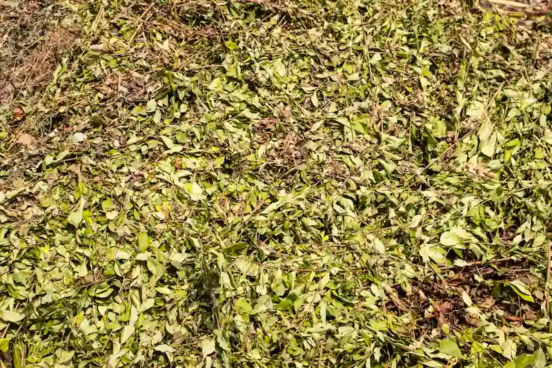 Ingezamelde groen- en tuinafval